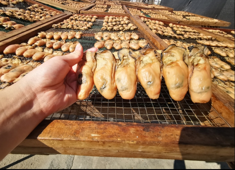 5折生蚝干特大正宗台山生晒蚝干生蚝干多规格蚝鼓海蛎子无抽油特大肥