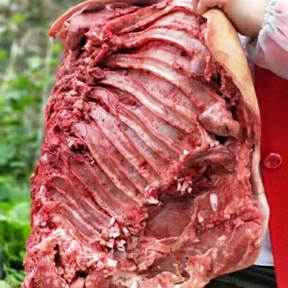 贵州现杀土黄牛肉新鲜带皮小黄牛勒条肉带皮肉5斤装2500g