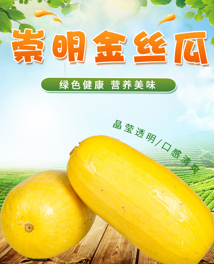 【顺丰发货】崇明金丝瓜 金丝搅瓜 黄金瓜2000g营养晚餐新鲜蔬菜 3斤