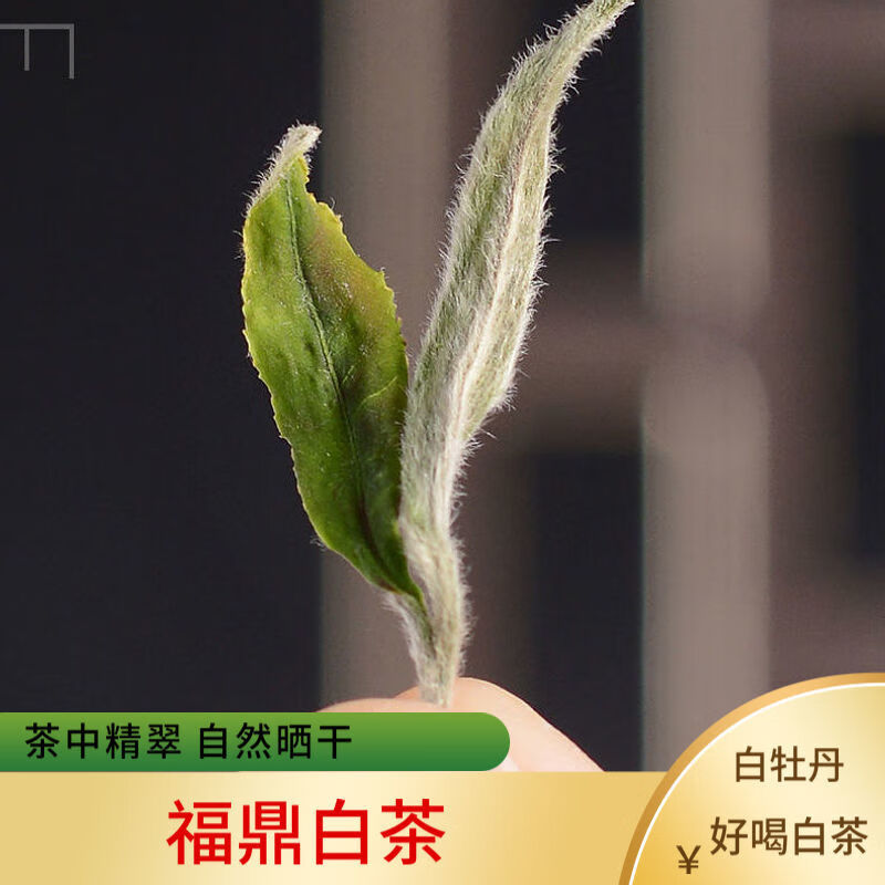 橙伯乐 2022年新茶福建白牡丹太姥山特级牡丹礼品装 白牡丹250克/一