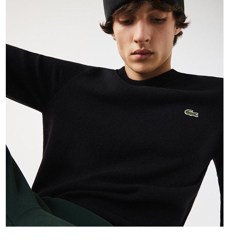 法国鳄鱼男装经典款秋季易穿搭新款时尚休闲舒适保暖针织衫毛衣上衣男