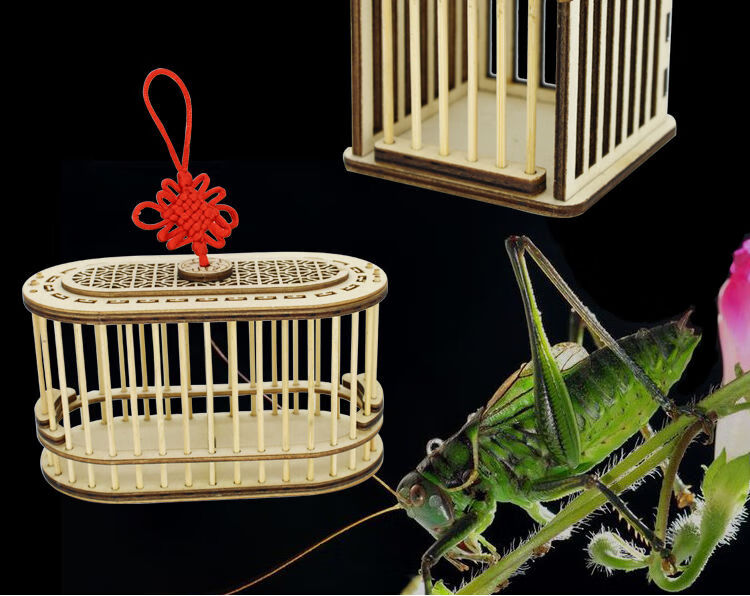 蝈蝈笼子实木竹编手工竹制儿童纯手工自制经典款叫鸣虫小房子单笼