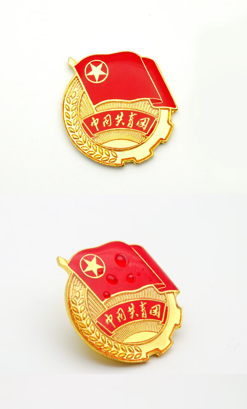 团徽学生用大磁铁款别针蝴蝶扣入团团员徽章学生青年团员中央监制 新