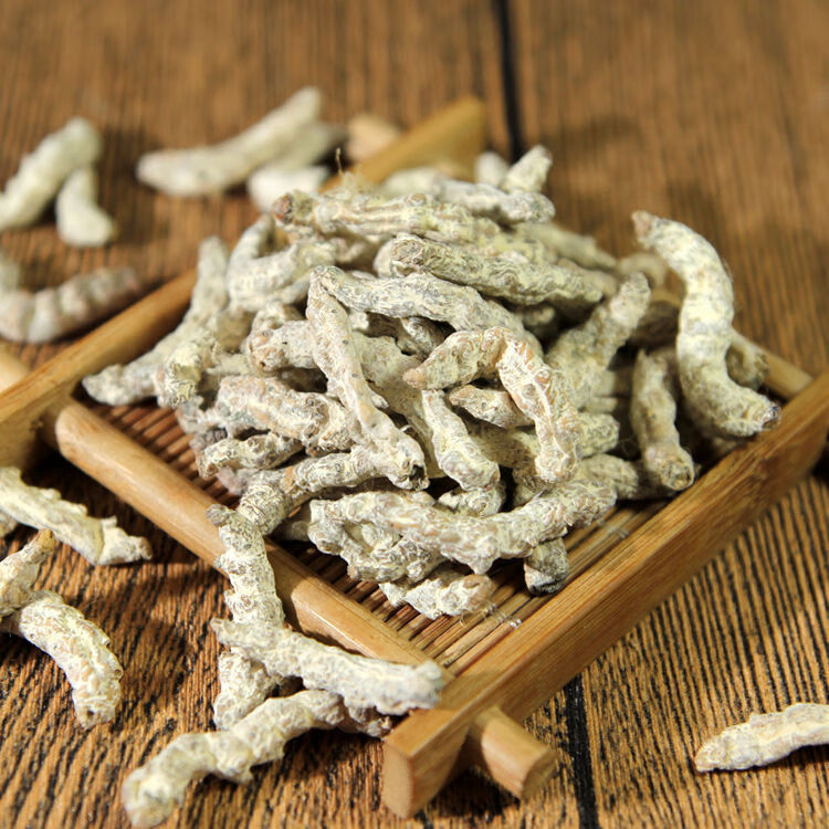 僵蚕中药白僵蚕中药白僵虫野生白僵蚕白僵蚕粉七子白原料 白僵蚕250克