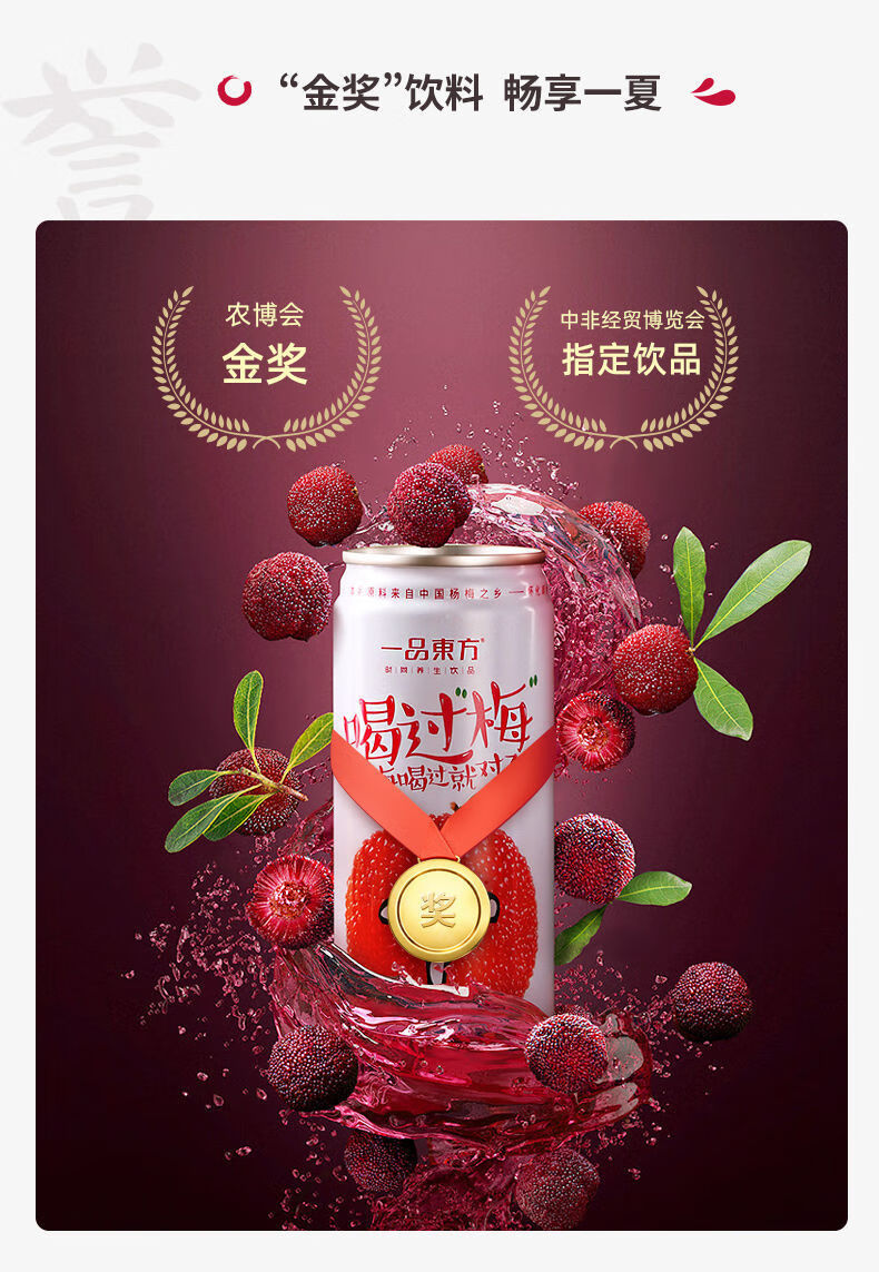 杨梅汁果蔬汁 湖南美食饮料整箱 杨梅之乡杨梅汁饮料240ml*24罐【图片