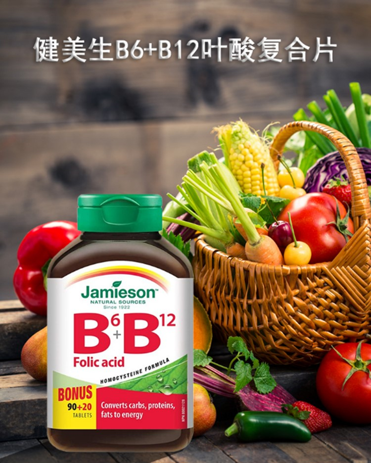 加拿大生b6 b12葉酸複合片 b6b12複合片 110粒【圖片 價格 品牌 報價