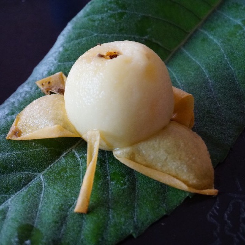 福建莆田白梨枇杷白玉枇杷贵妃白树上熟无膨大剂现摘枇杷新鲜甜 5斤