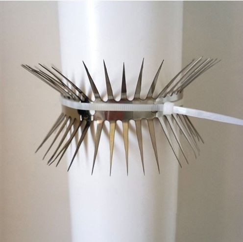 轻奢防鼠爬刺防老鼠神器倒刺老鼠刺防鼠刺防爬刺下水管道防鼠网倒刺钉