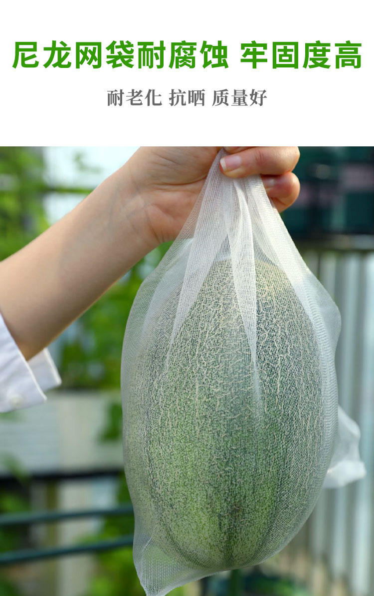 防虫防鸟网袋果树瓜果水果蔬菜葡萄丝瓜西瓜尼龙套袋神器专用保护 20*