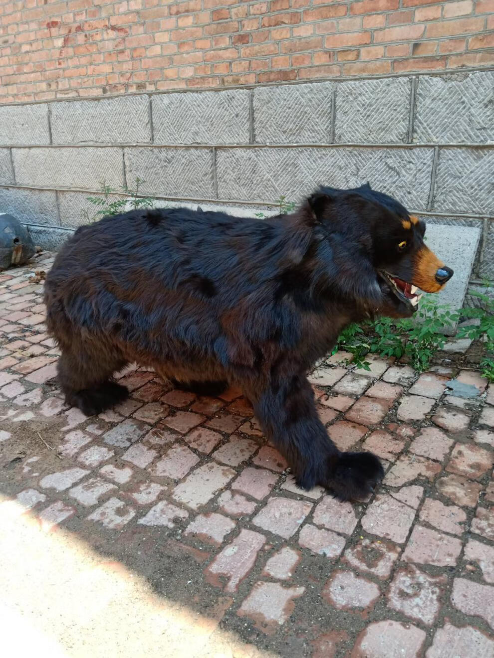 仿真老虎皮装饰挂件沙发垫地毯影视仿真虎皮标本假老虎皮装饰专拍定制