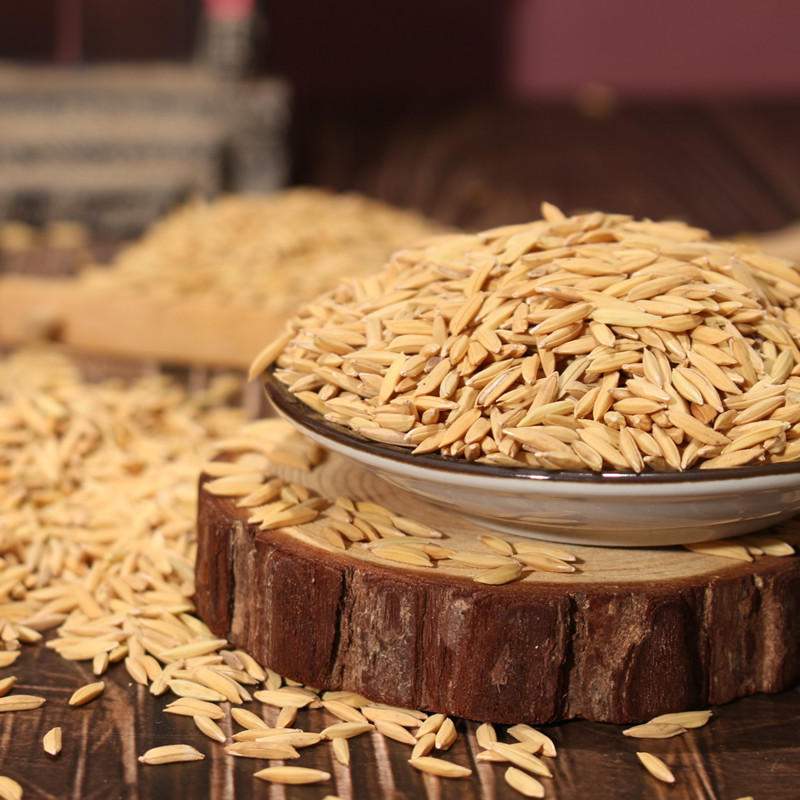 丝苗米稻谷2020年香米晚谷带壳稻子农家种植新鲜自碾米水稻谷1吨