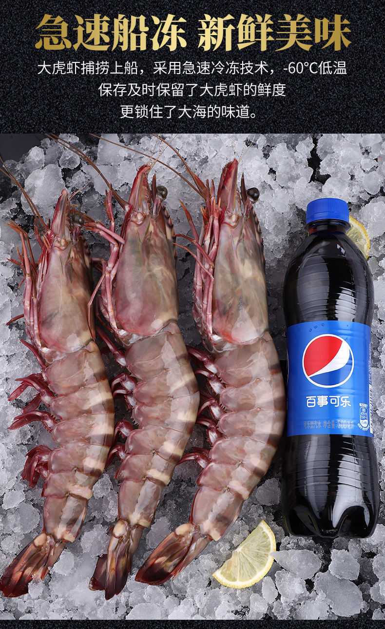 黑虎虾老虎虾鲜活超大虾特大巨型海虾水产鲜活海鲜冻虾新鲜斑节虾 特