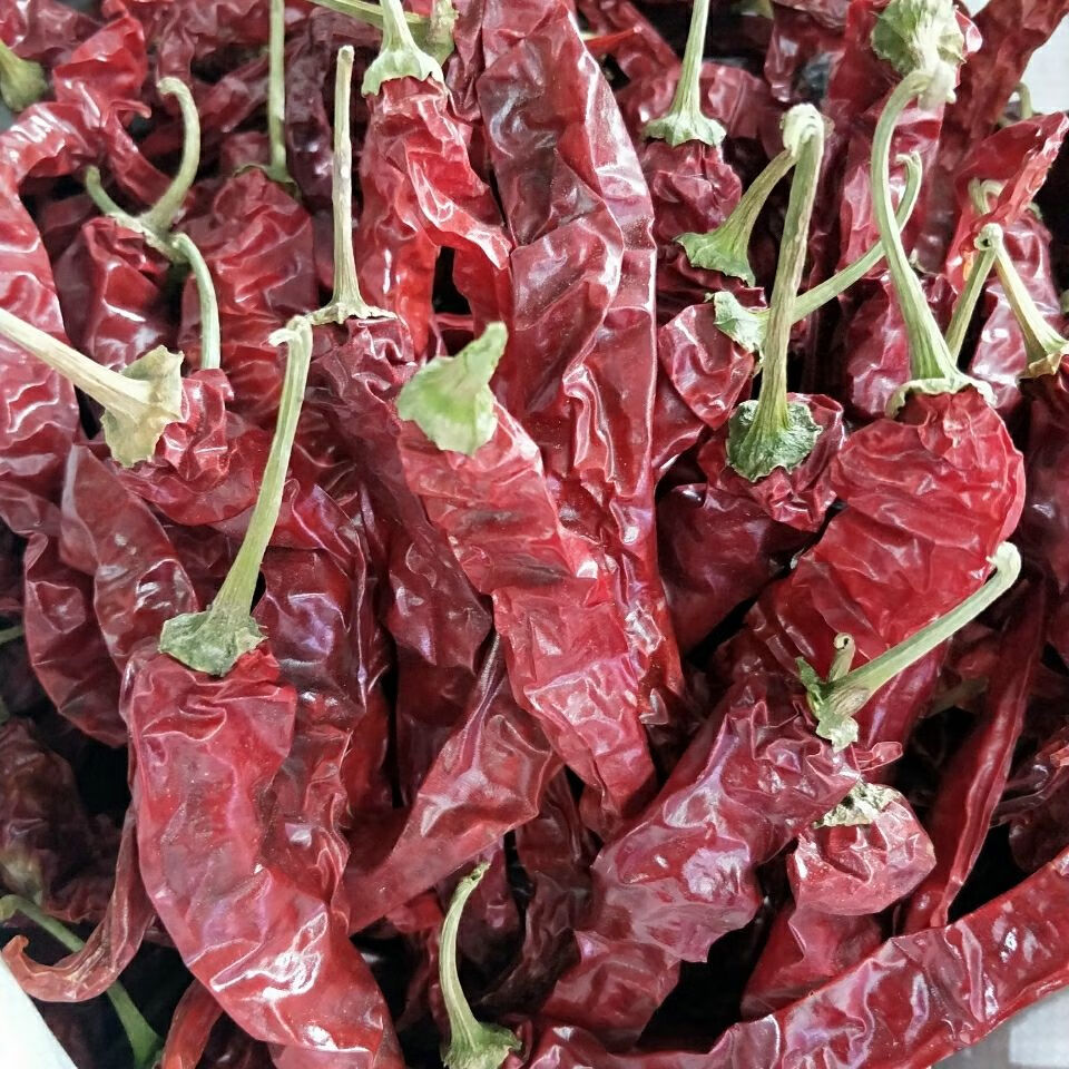 5折 东北红辣椒 250g-2500g 东北干辣椒 农家特产红干椒 农村风味