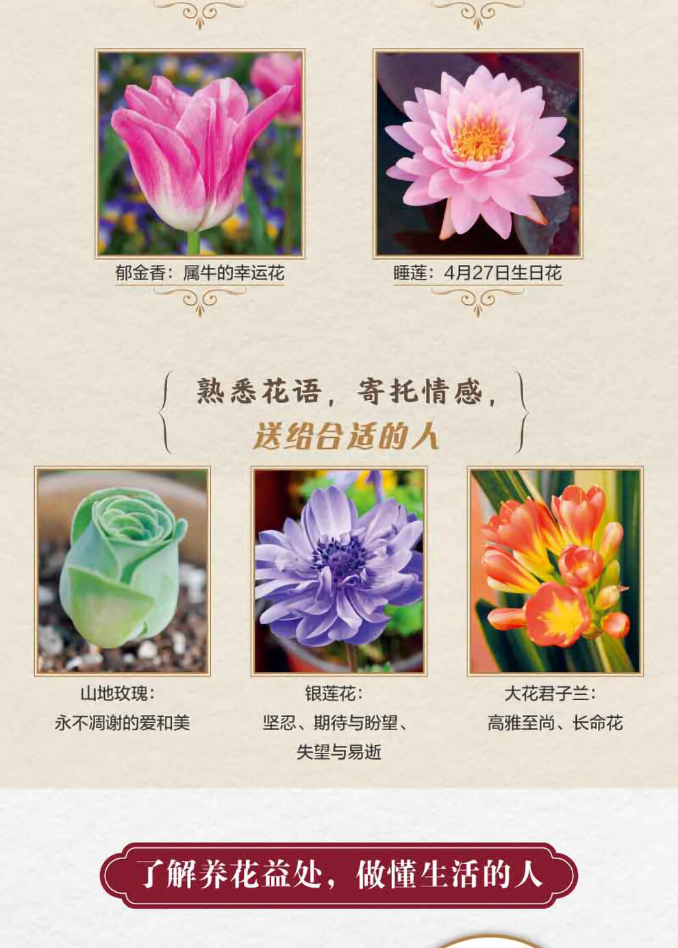 零基础学养花春夏秋冬多肉一养就上手养植种植养花花艺花卉盆景盆栽植物大全书籍入门 摘要书评试读 京东图书