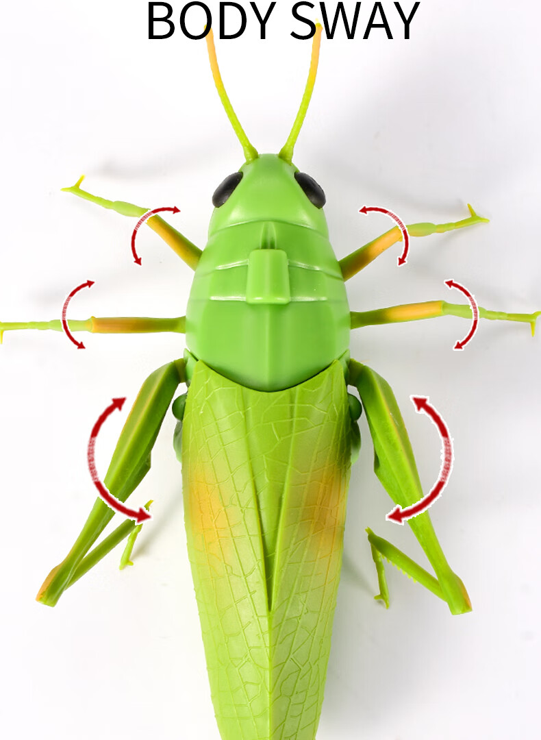 电动螳螂整蛊蟑螂玩具模型男孩红外爬行蜘蛛抖音高端同新款 遥控螳螂