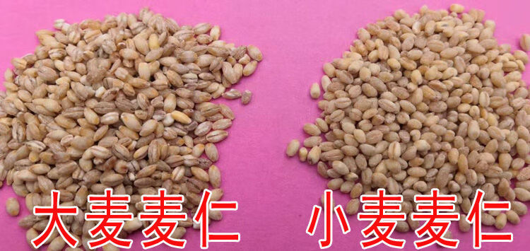 5斤大麦仁大麦米去壳去皮大麦小麦仁小麦米杂粮粗粮5斤大麦麦仁