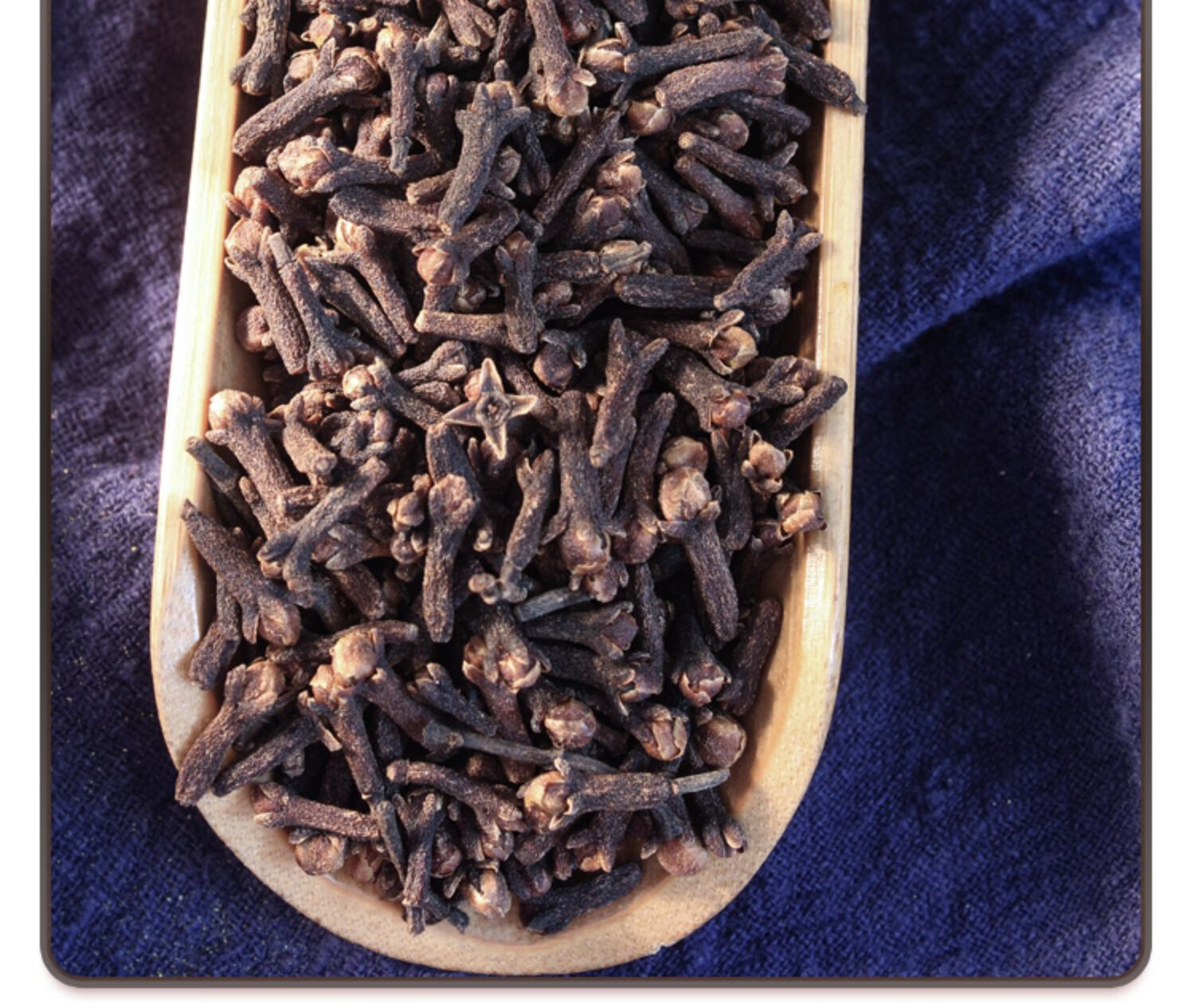 丁香中药药用丁香粉公丁香中药材干丁香丁香根香料250g图片色