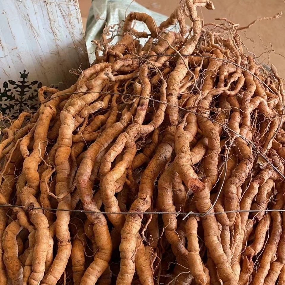 医味巴戟天中药材500g新鲜大肉巴戟天男性泡酒料茶可