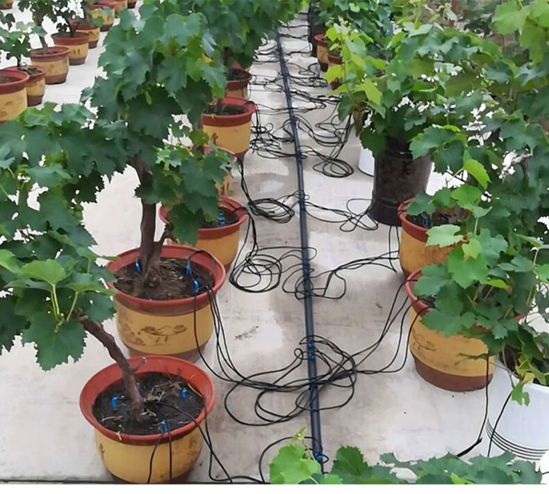 pe滴灌管灌溉水管农用滴水管主支管毛管pe盘管果树大棚地埋滴灌喷灌微