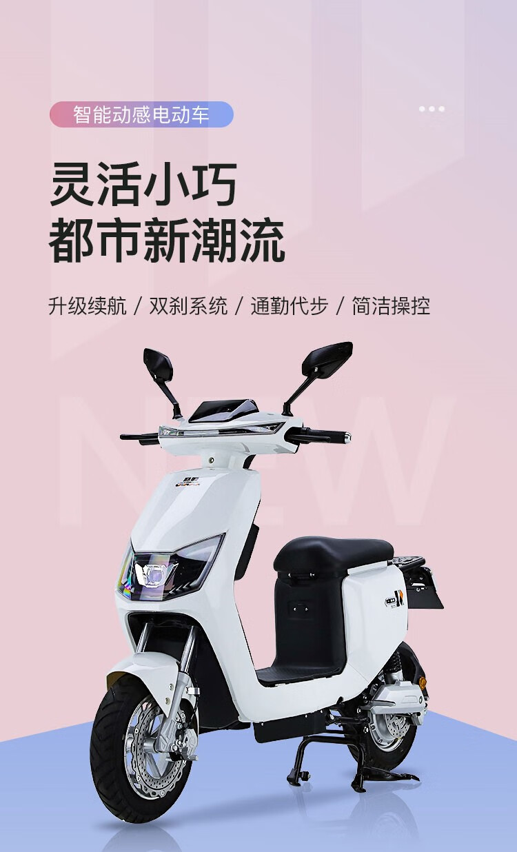 新款酷顺新国标电动自行车可上牌48v女外卖车北京上海长跑王 旗舰版