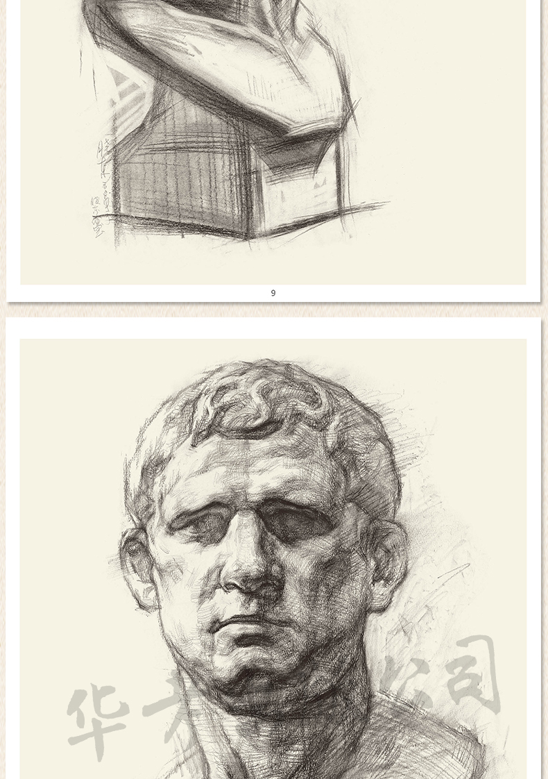 中国美术学院刘晓东素描石膏头像五官挂图作品4开临摹范本活页画册面