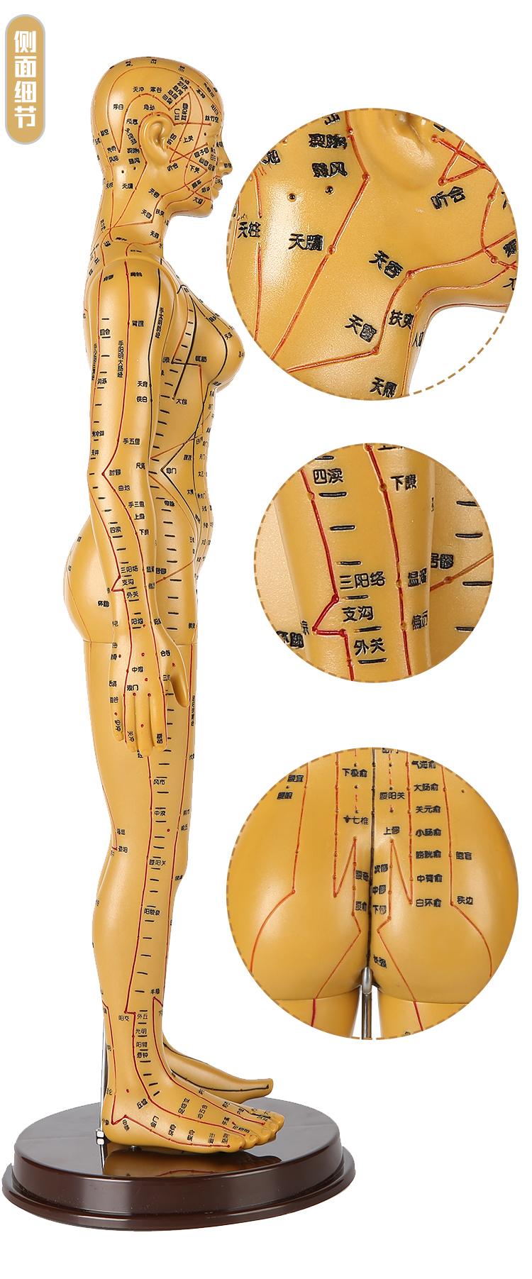10041564726078商品名称:针灸铜人 铜色经络针灸铜人 人体穴位模型