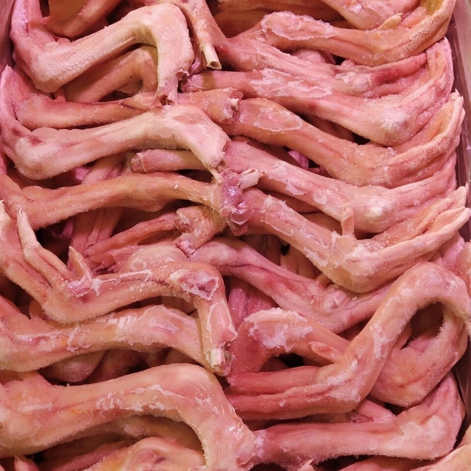 鹅爪 整箱20斤 新鲜冷冻鹅爪 鹅掌 二节大鹅爪 鹅脚 鲜冻鹅爪卤菜