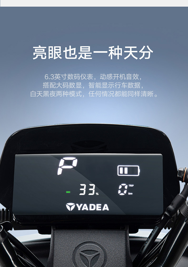 雅迪de2新国标电动自行车可上牌48v24ah锂电池电动车100公里长续航