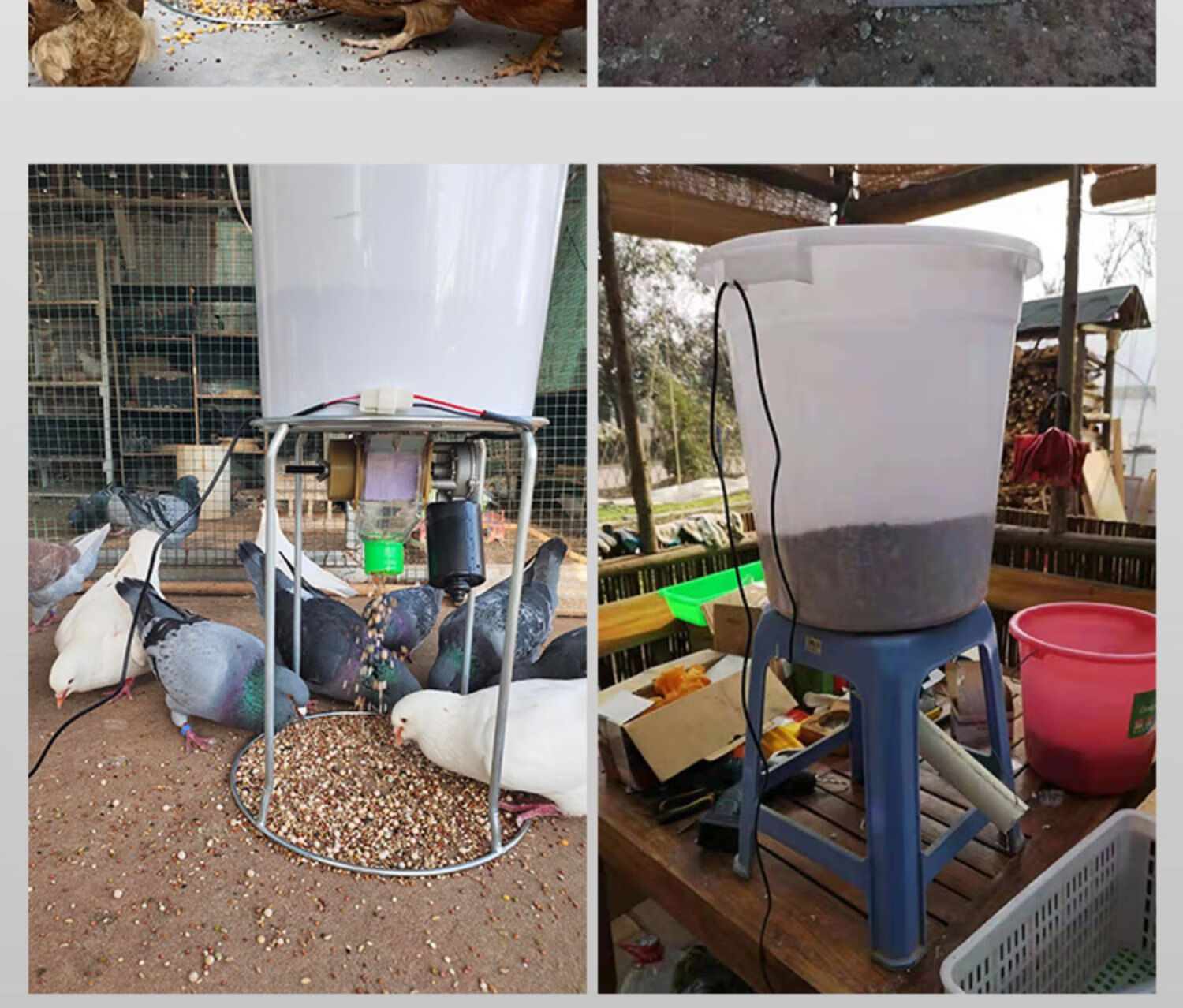 养鸡自动养鸡自动喂鸡远程投喂投料机鸽子饲料定时太阳能下料器 太阳