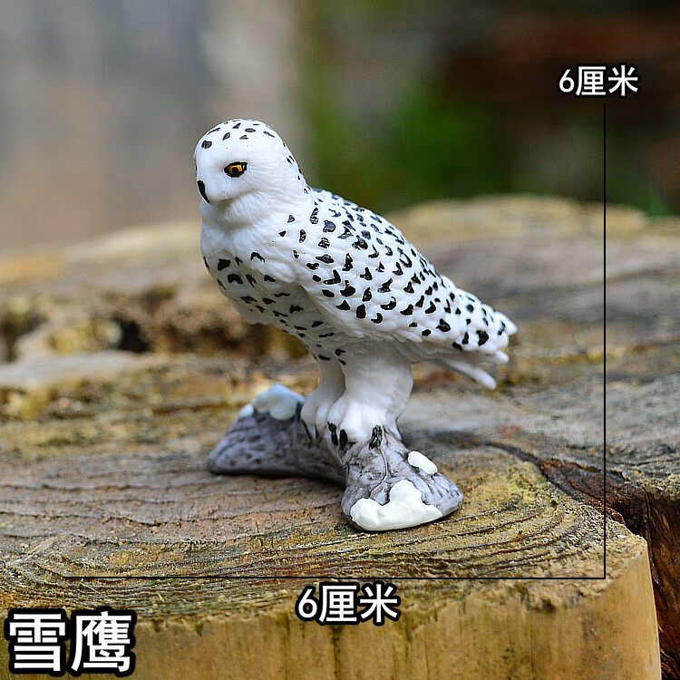 老鷹白頭鷹雪鷹仿真動物模型玩偶野生動物飛禽鳥塑料擺件兒童玩具