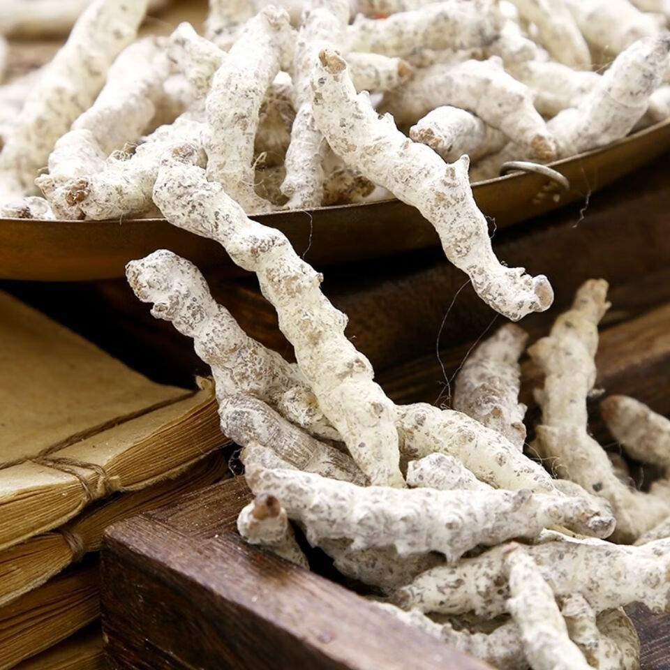 白僵蚕粉僵蚕天虫白疆虫 炒僵蚕现磨粉七子白原料 白僵蚕粉【250克】