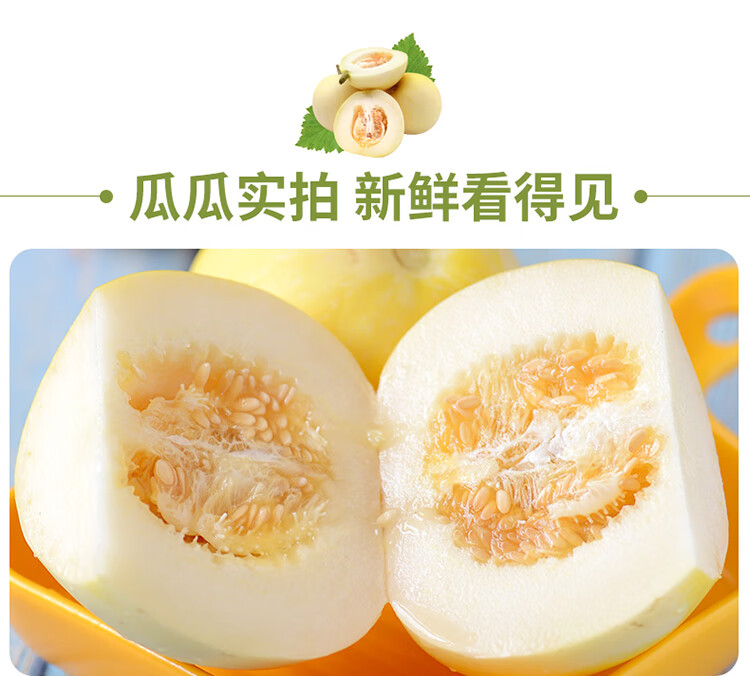 小蜜蜂甜瓜山东头茬现摘星甜20蜜罐甜瓜新鲜水果香瓜68个5斤