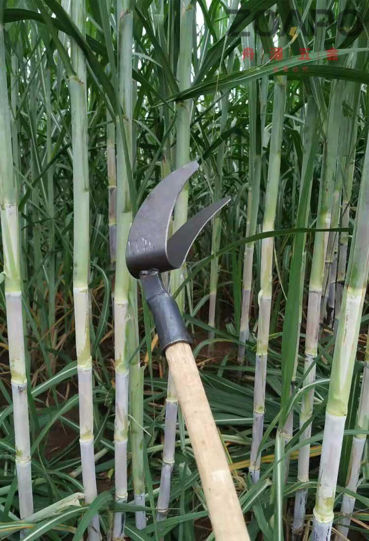 农用剥甘蔗叶刀神器手工撕打甘蔗叶工具扒除甘蔗修叶子刀拨叶2把c款5