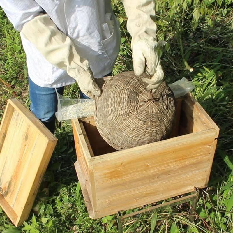 祉鹿 竹制收蜂笼野蜂土蜂招蜂笼野外捕蜂器捉密蜂专用养蜂工具新品 平