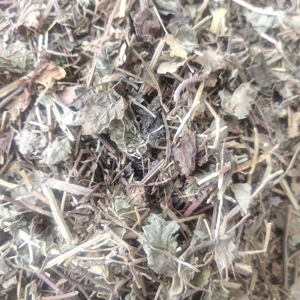 中药材活血丹草金钱艾 胡薄荷 透骨消优质活血丹草500克 500克 活血丹