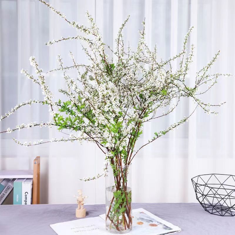祉鹿 雪柳干枝枯木逢春干枝遇水开花水培鲜花卉懒人花好养耐寒 雪柳80