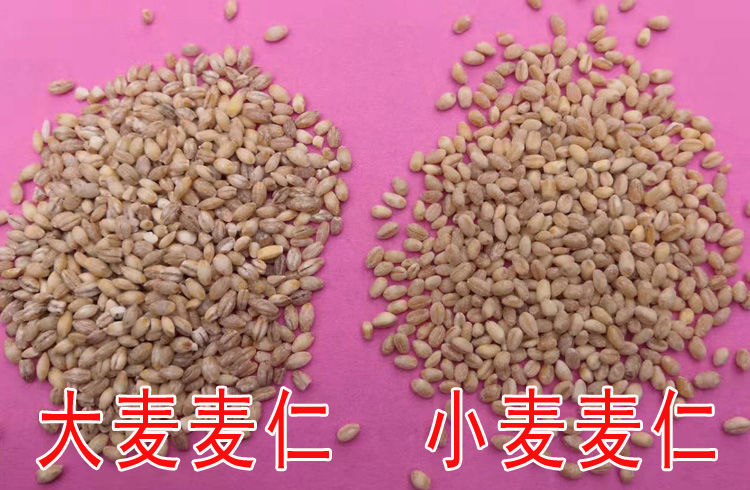 【京喜好货】5斤大麦仁大麦米去壳去皮大麦小麦仁小麦米杂粮粗粮半斤