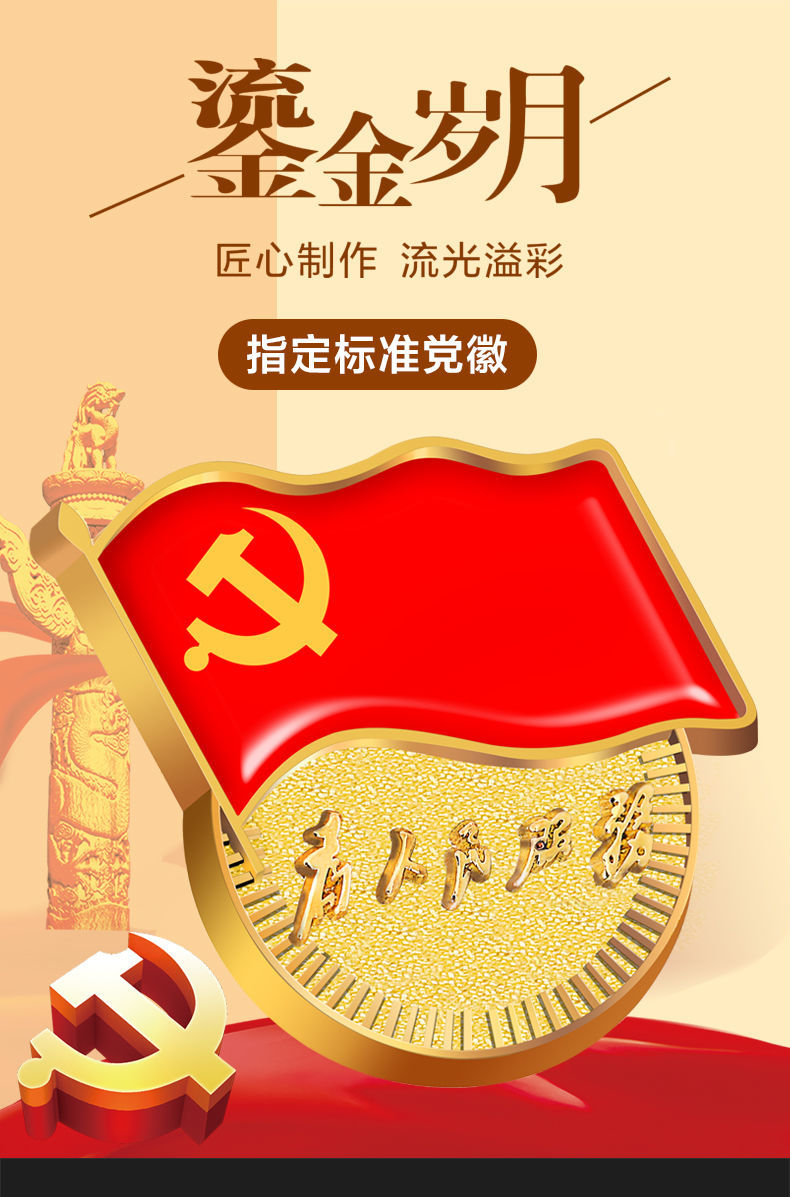 仓梵 礼盒装党徽标准型2020年镀金强磁党徽胸徽别针式徽章胸针 量多