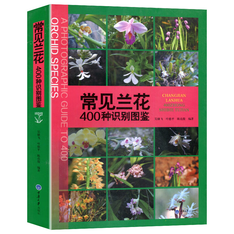 兰草种类及品种全书图片
