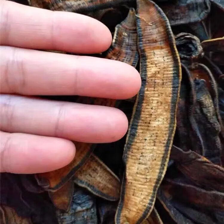 有仁堂中药材野生水蛭干货干品蚂蟥宽体金线蛭大水蛭非吊干可磨水蛭粉