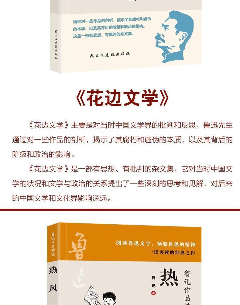 鲁迅全集全10册朝花夕拾故事新编热风10册鲁迅全集彷徨杂文集呐喊野草呐喊彷徨经典作品杂文集 鲁迅全集全10册详情图片6