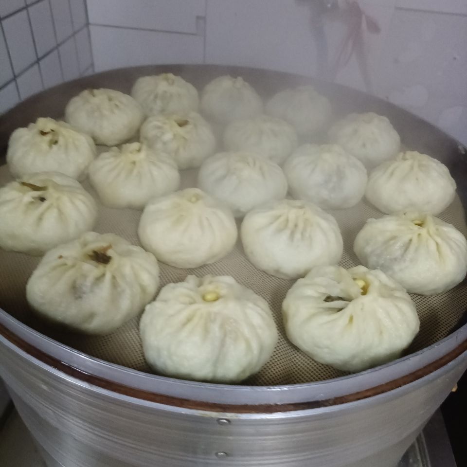 手工河南特产菜馍早餐槐花牛肉大包子薄皮素干菜老面熟食方便面食8个
