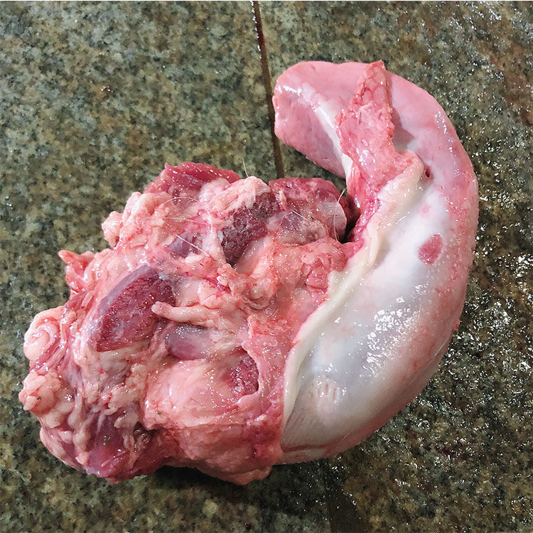 冷冻新鲜猪口条口条猪舌头生鲜猪舌尖散装卤菜食材2斤4斤2斤装