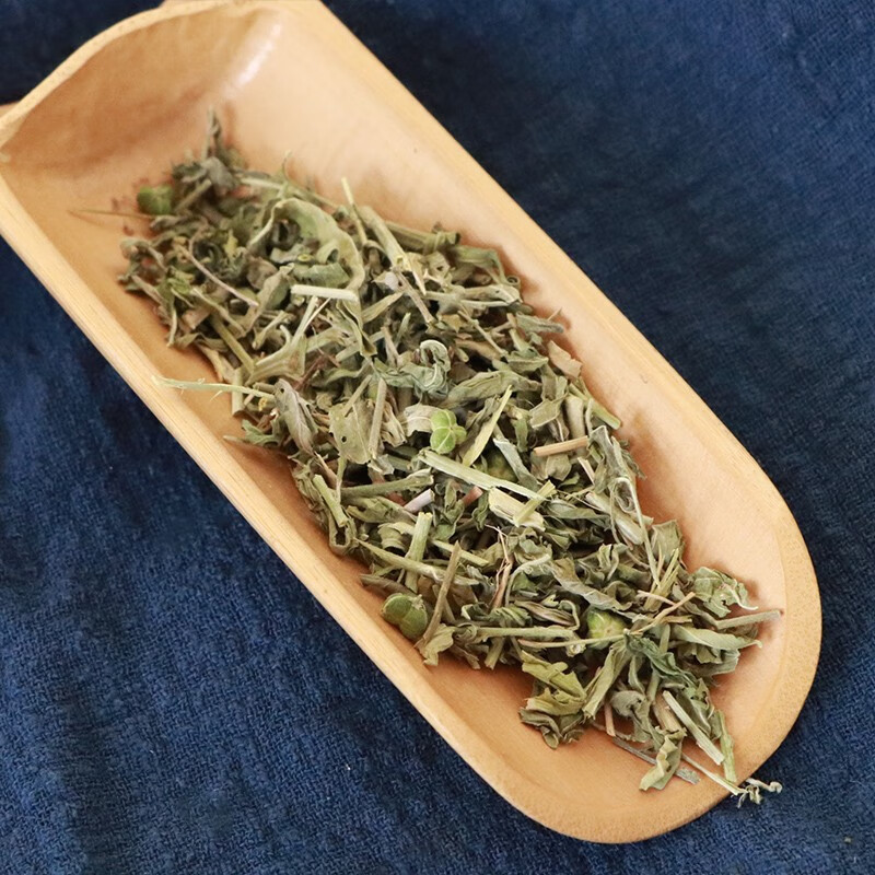 通筋草伸筋草透骨草图片