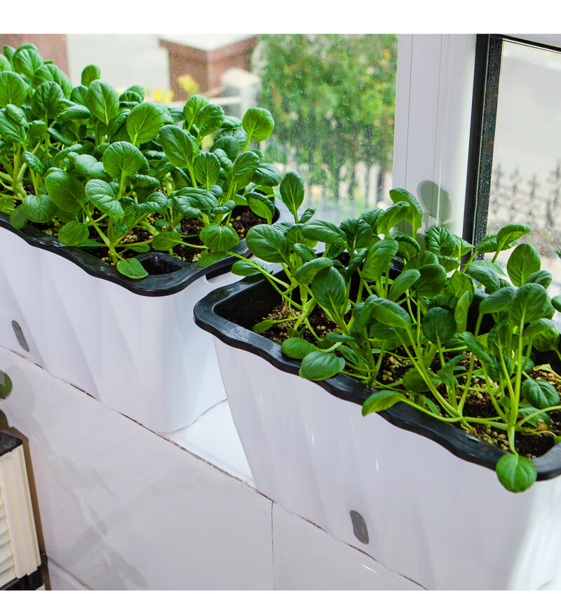 约见农资自动吸水花盆种菜神器家庭阳台长方形懒人花槽塑料种植箱蔬菜