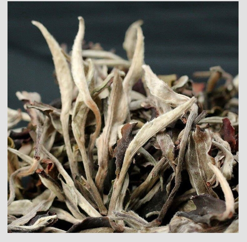 2022年善诚云南勐海月光白茶饼普洱乔木老树饼茶200克