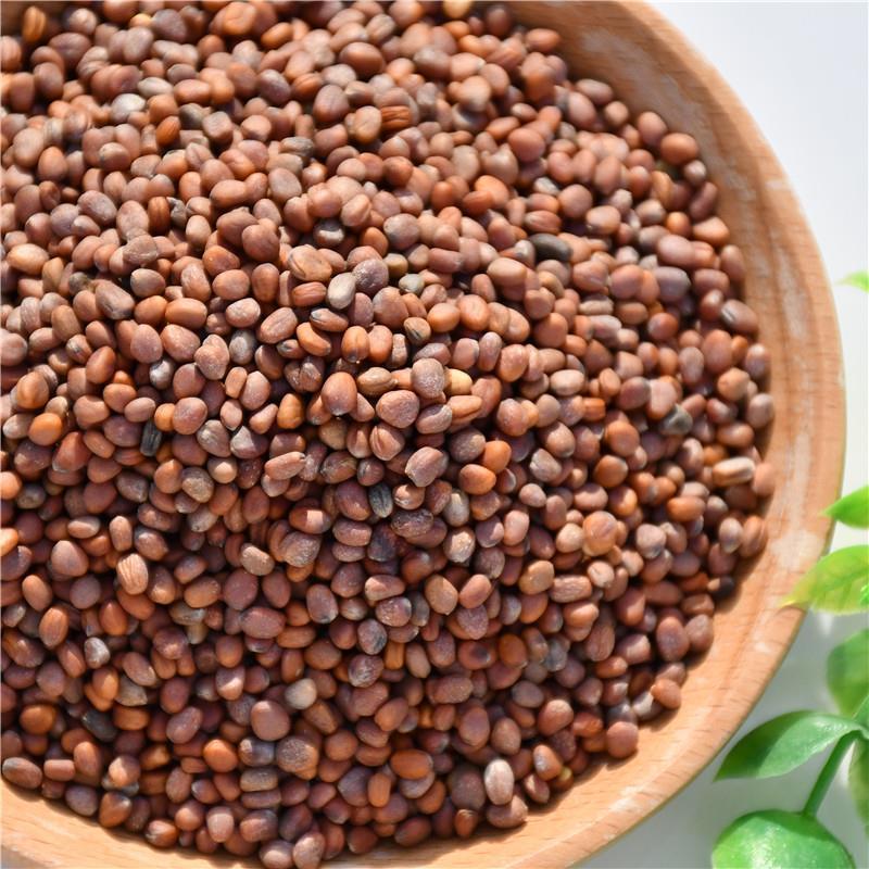 中药材莱菔子萝卜籽 泡水泡茶煮茶中草药大全 炒莱菔子500g【图片