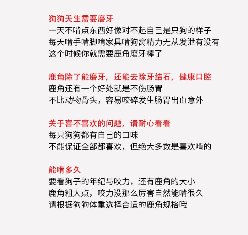 1bd5bca16e6e7407.jpg