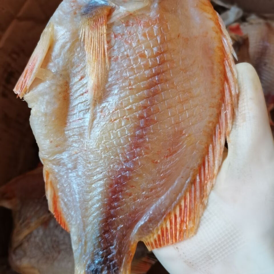 廣東特產紅魚深海魚乾淡曬魚乾去頭去肚海魚紅立魚生曬海鮮乾貨300克