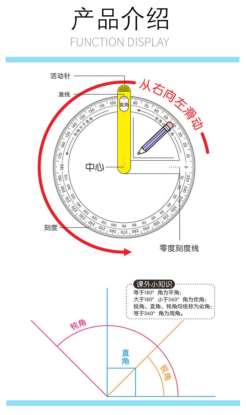 脚的名称分解图图片